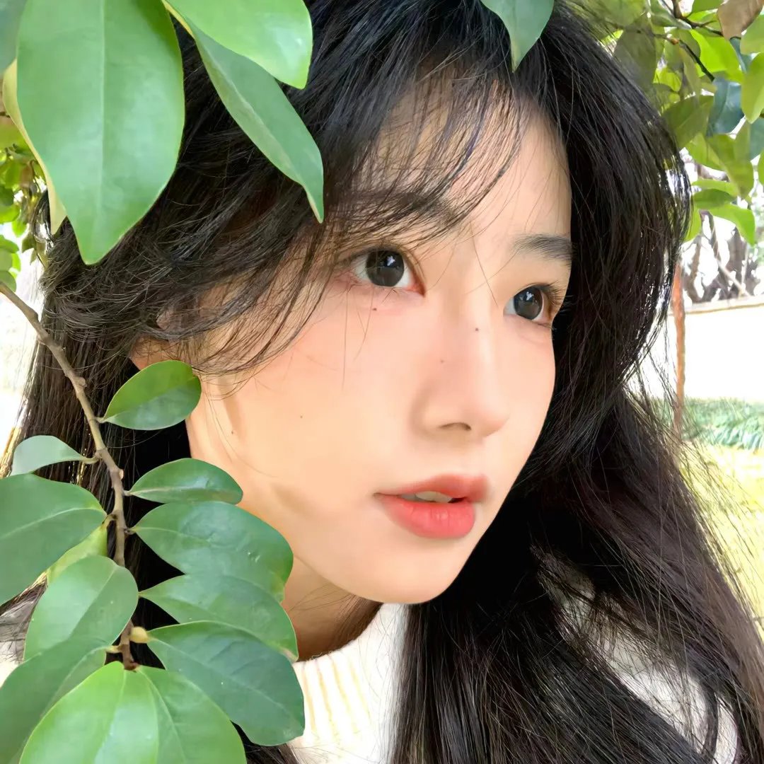 猴子